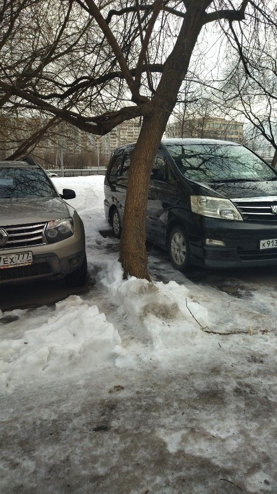 Toyota Alphard: фото владельца