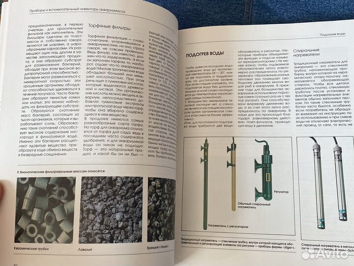 Аквариум и его обитатели