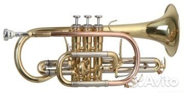 Корнет Roy Benson сr-302 Bb