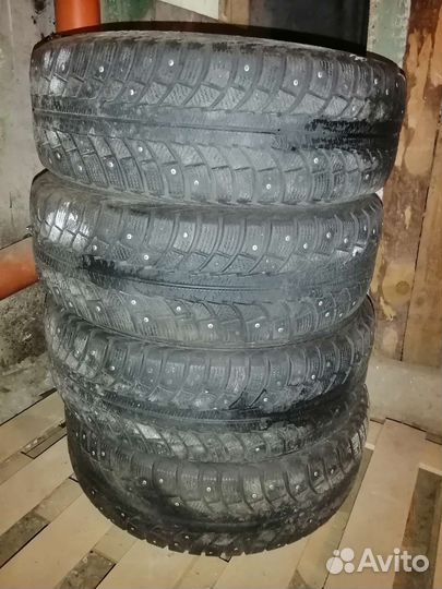 Gislaved Nord Frost 200 195/65 R15