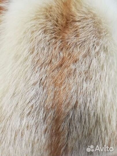 Шкурки лисы