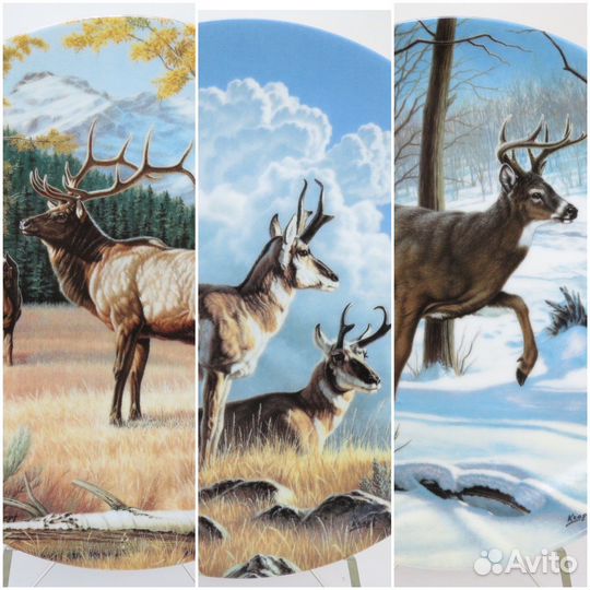 Тарелки серии Портреты Дикой Природы Канады