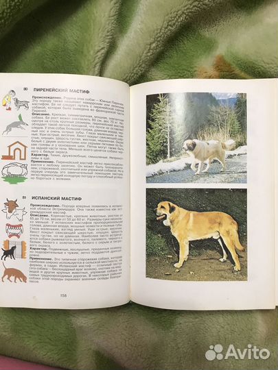 Энциклопедия собаки