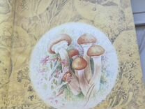 Мир растений грибы СССР