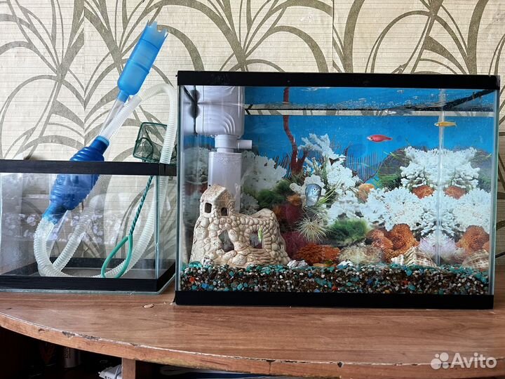 Рыбки аквариум