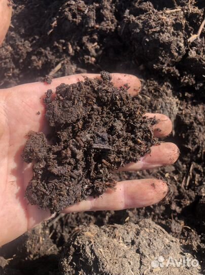 Перегной коровий. Удобрение