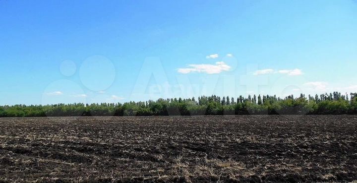 Участок 1,9 га (СНТ, ДНП)