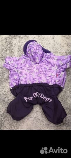 Одежда для собак