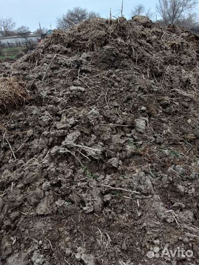 Чернозем перегной