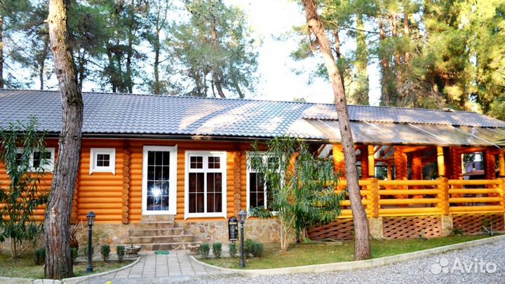 Абхазия в июне из Санкт-Петербурга