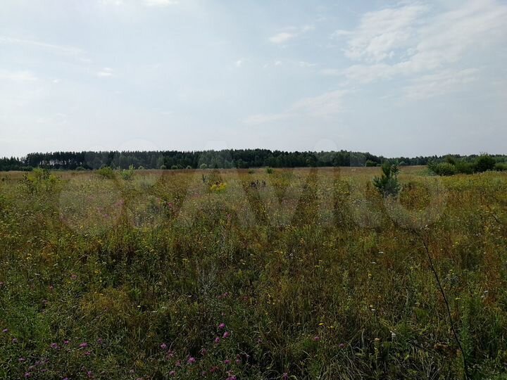 Участок 28 га (ИЖС)