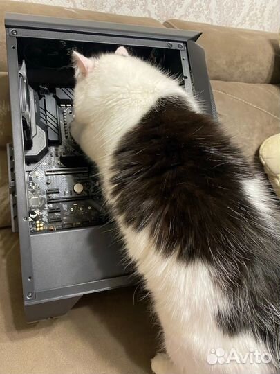 Компьютерный мастер