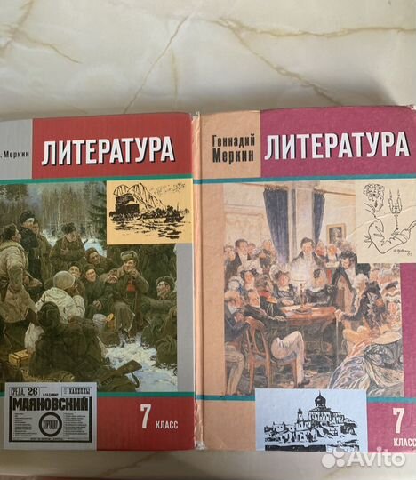 Литература 7 класс Меркин