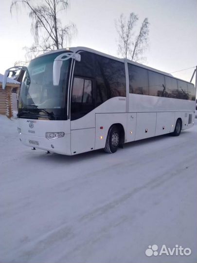 Автобусы на заказ