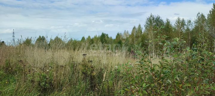 Участок 15,9 сот. (ИЖС)