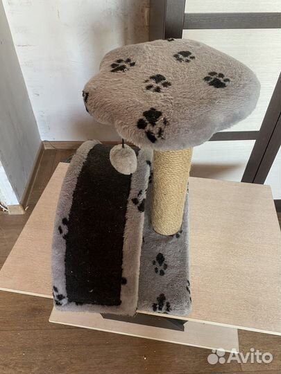 Когтеточка для кошек