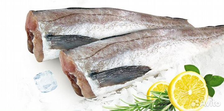 Продается готовый рыбный магазин с высокой прибылью