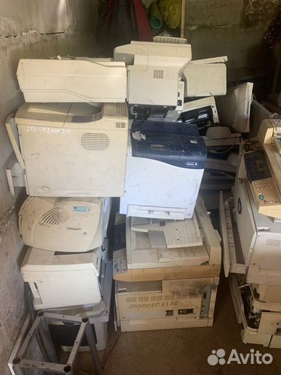 Принтер лазерный hp, xerox