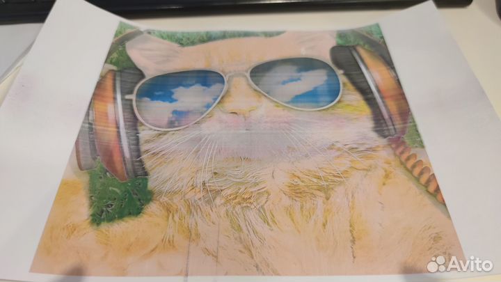 Принтеры Samsung CLP-320