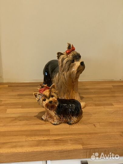 Goebel йоркширское терьеры