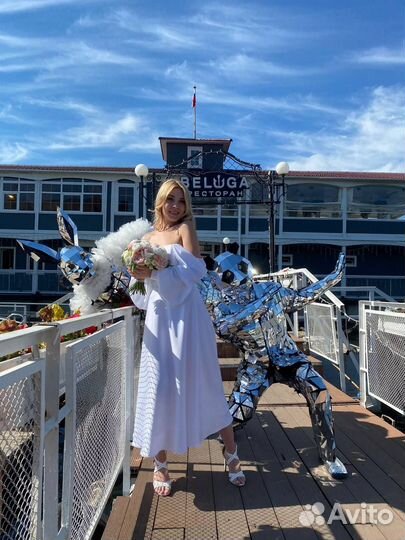 Зеркальное шоу на Ваш праздник