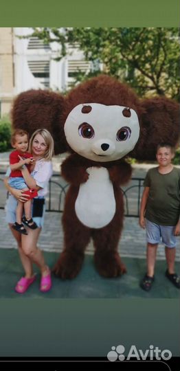 Панда поздравление