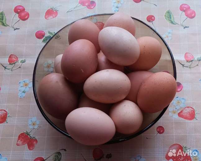 Домашние куриные яйца, картофель