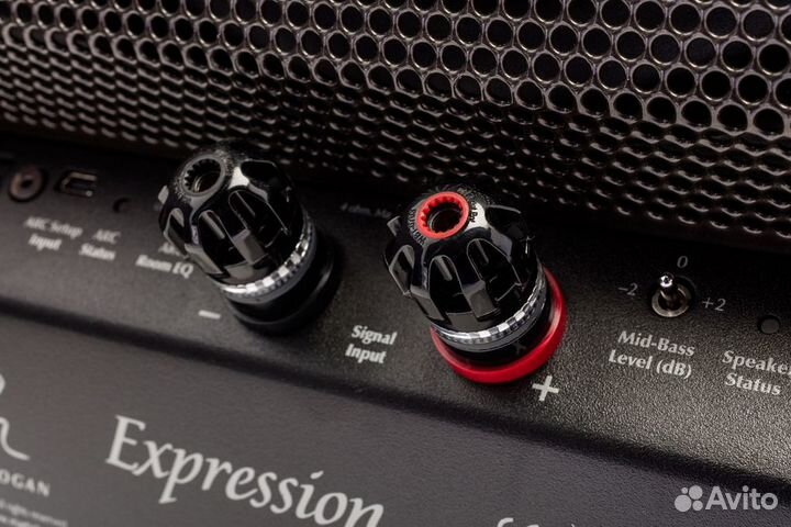 Напольная акустика Martin Logan Expression ESL 13A