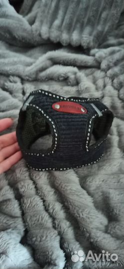 Шлейка для кошки, мелкой собачки