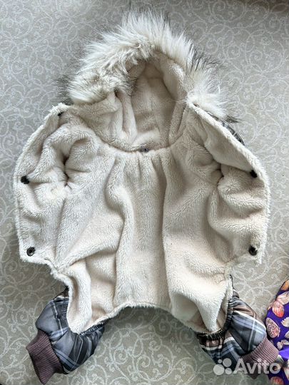 Одежда для маленьких собак, новый комбинезон зима