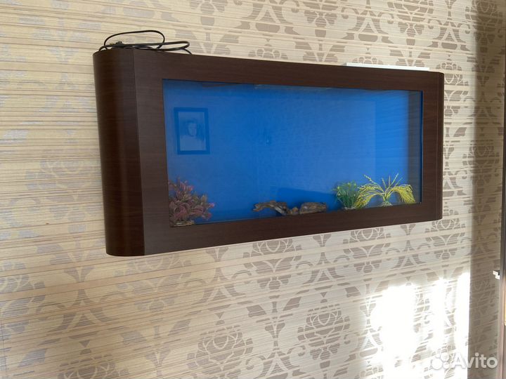Продаю настенный плоский аквариум