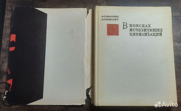 В поисках исчезнувших цивилизаций Амальрик Монгайт