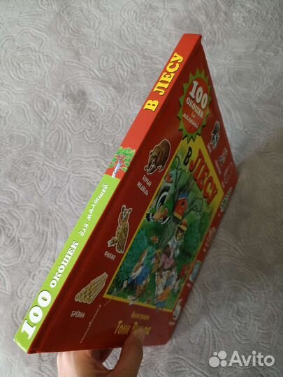 100 окошек детские книги Тони Вульф