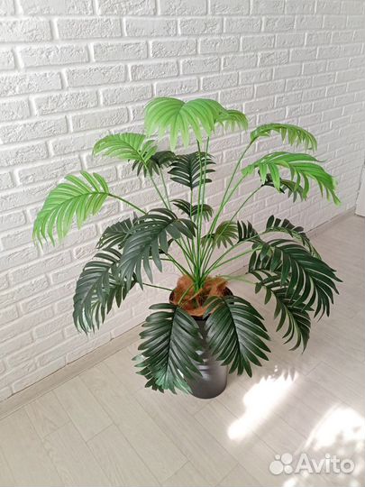 Искусственные цветы/Пальма/Стрелиция