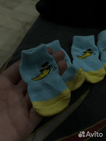 Носки для собак