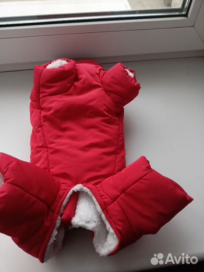 Одежда для собак мелких пород