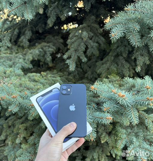 iPhone 12, 128 ГБ