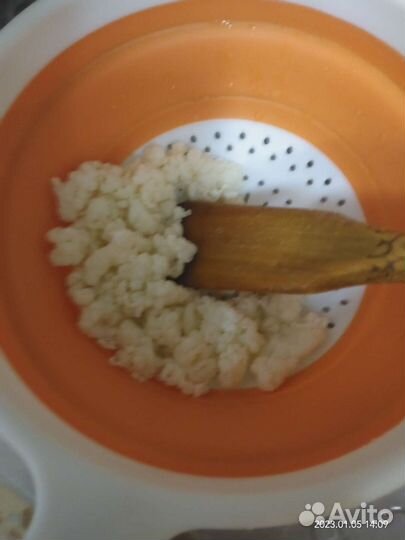 Кефирный гриб (тибетский )