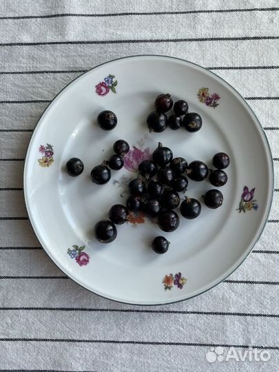 Тарелка десертная пирожковая Weimar германия гдр