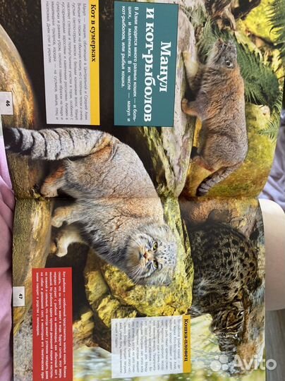 Большая 3D энциклопедия 