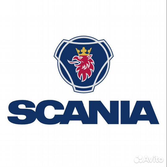 Прокладка помпы Scania