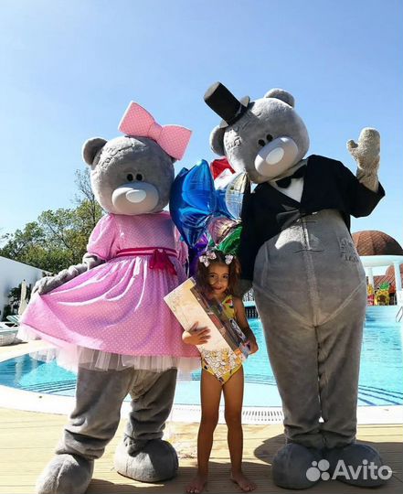 Мишки выписка из роддома