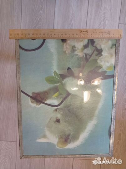 Картина котики