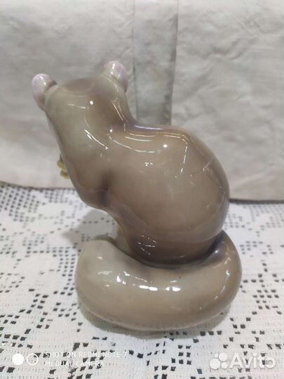 Редкий грызун