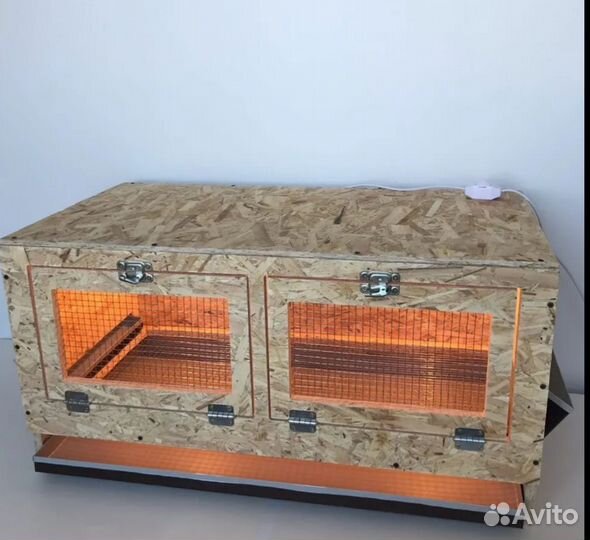 Брудер для цыплят