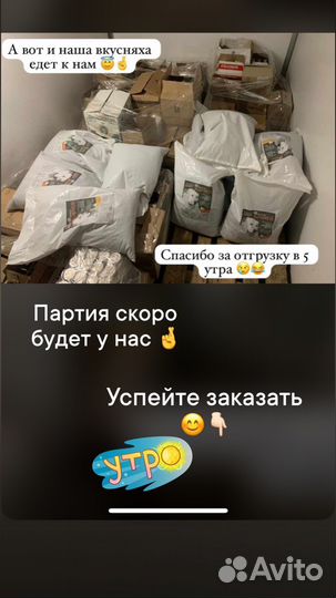 Корм для собак средних и крупных пород