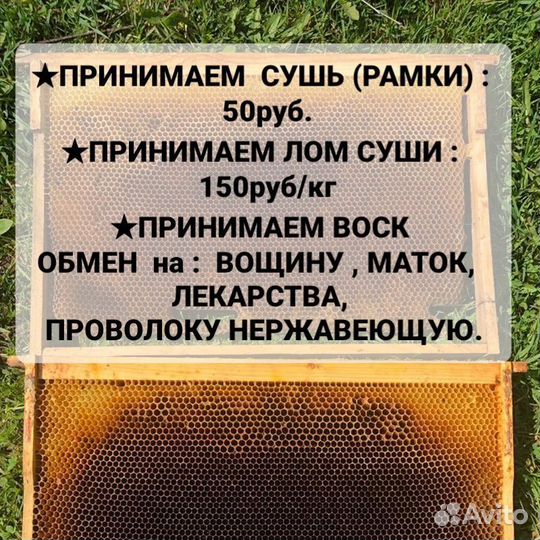 Рамки для пчел