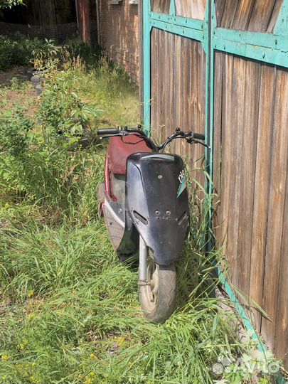 Honda dio af18