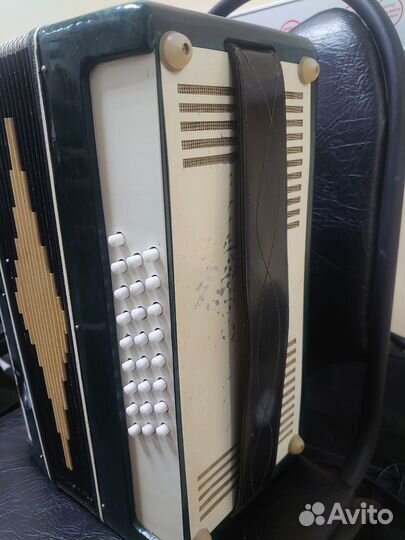 Гармонь Беларусь