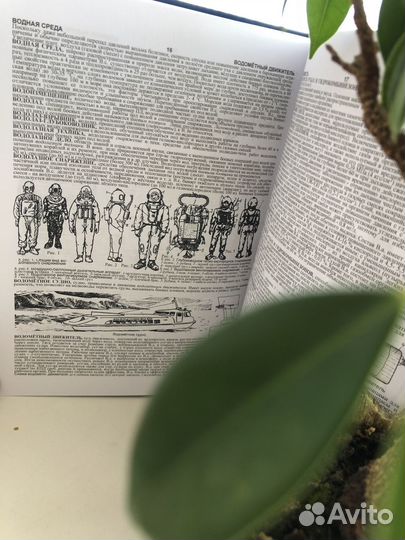 Словарь боевого пловца